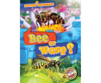 Bee_or_Wasp_