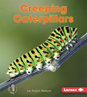 Creeping_Caterpillars