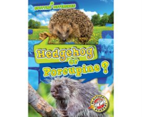 Hedgehog_or_Porcupine_