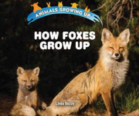 How_Foxes_Grow_Up