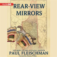 Rear-View_Mirrors
