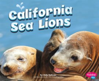 California_Sea_Lions