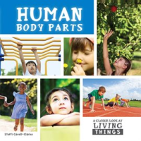 Human_Body_Parts