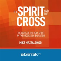 The_Spirit_and_the_Cross
