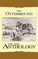 The_Otterhound