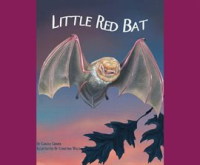 Little_red_bat