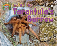 Inside_the_Tarantula_s_Burrow