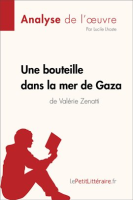 Une_bouteille_dans_la_mer_de_Gaza_de_Val__rie_Zenatti