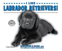 I_Like_Labrador_Retrievers_