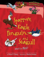 Sparrow__eagle__penguin__and_seagull