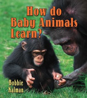 How_do_baby_animals_learn_