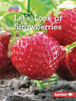 Let_s_Look_at_Strawberries