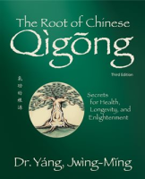 The_Root_of_Chinese_Qigong