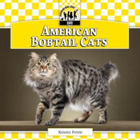 American_Bobtail_Cats