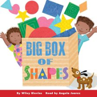 Big_Box_of_Shapes
