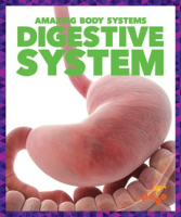 Digestive_System