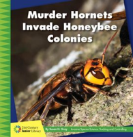 Murder_Hornets_Invade_Honeybee_Colonies