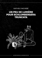 Un_peu_de_lumi__re_pour_schlumbergera_truncata