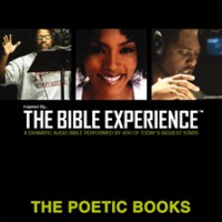 Inspired_By_____The_Bible_Experience_Audio_Bible_-_Today_s_New_International_Version__TNIV__The_Poe
