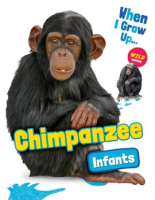 Chimpanzee_Infants