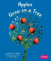 Apples_Grow_on_a_Tree