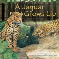 A_Jaguar_Grows_Up