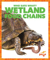 Wetland_Food_Chains
