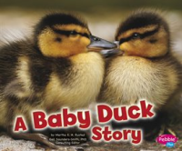 A_Baby_Duck_Story
