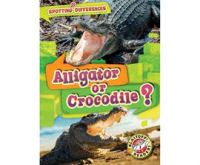 Alligator_or_Crocodile_