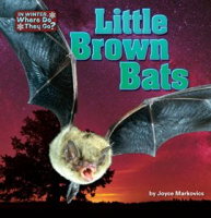Little_Brown_Bats