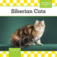 Siberian_Cats