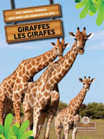 Giraffes__Les_girafes_