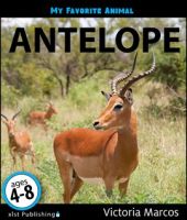 My_Favorite_Animal__Antelope