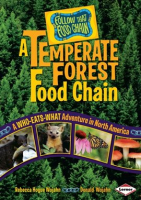A_temperate_forest_food_chain
