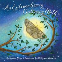 An_extraordinary_ordinary_moth