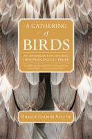 A_Gathering_of_Birds