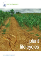Plant_Life_Cycles