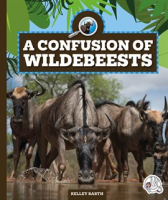 A_Confusion_of_Wildebeests