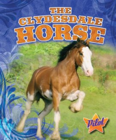 The_Clydesdale_Horse