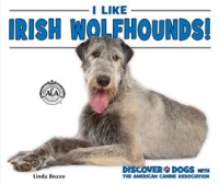 I_Like_Irish_Wolfhounds_