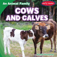 Cows_and_Calves
