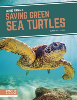Saving_Green_Sea_Turtles