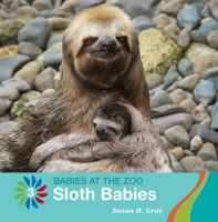 Sloth_Babies