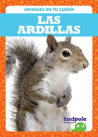 Las_ardillas__Squirrels_