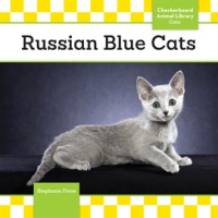 Russian_Blue_Cats