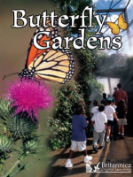 Butterfly_Gardens
