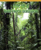 Life_in_a_Rain_Forest_Ecosystem