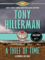 A thief of time