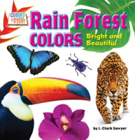 Rain_Forest_Colors