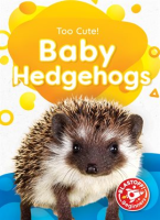 Baby_hedgehogs